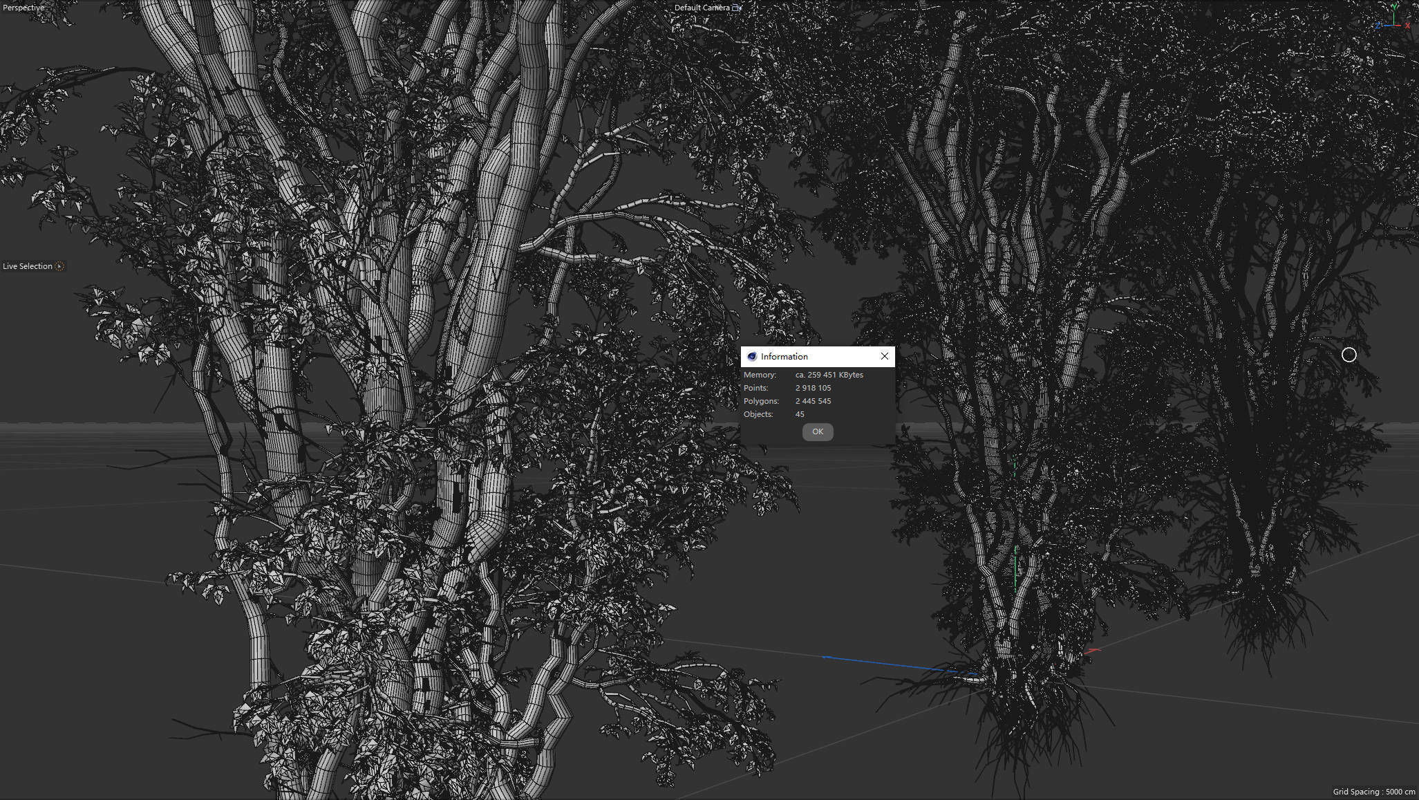 9 High Quality Forest Elm Tree Collection _12