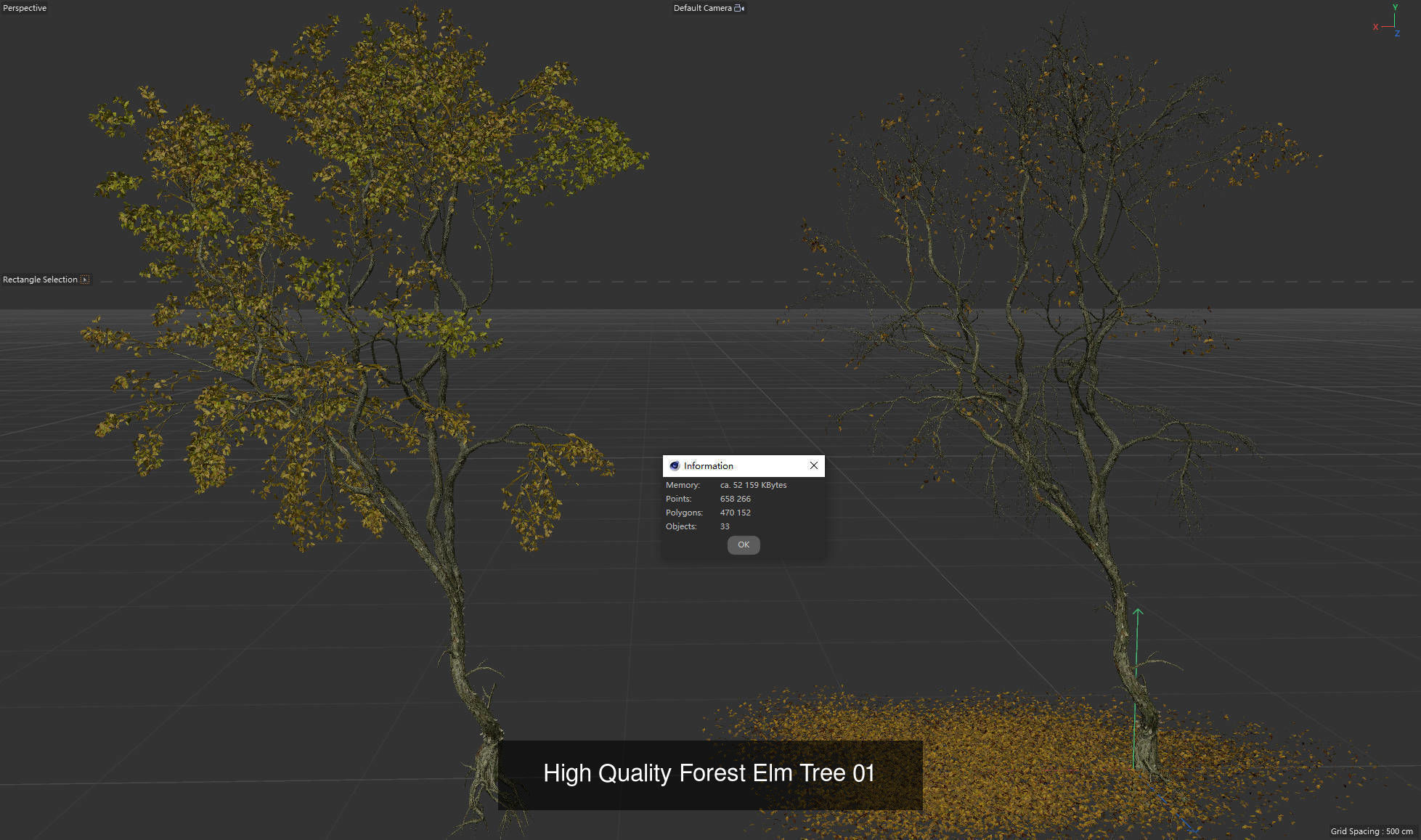 9 High Quality Forest Elm Tree Collection _4