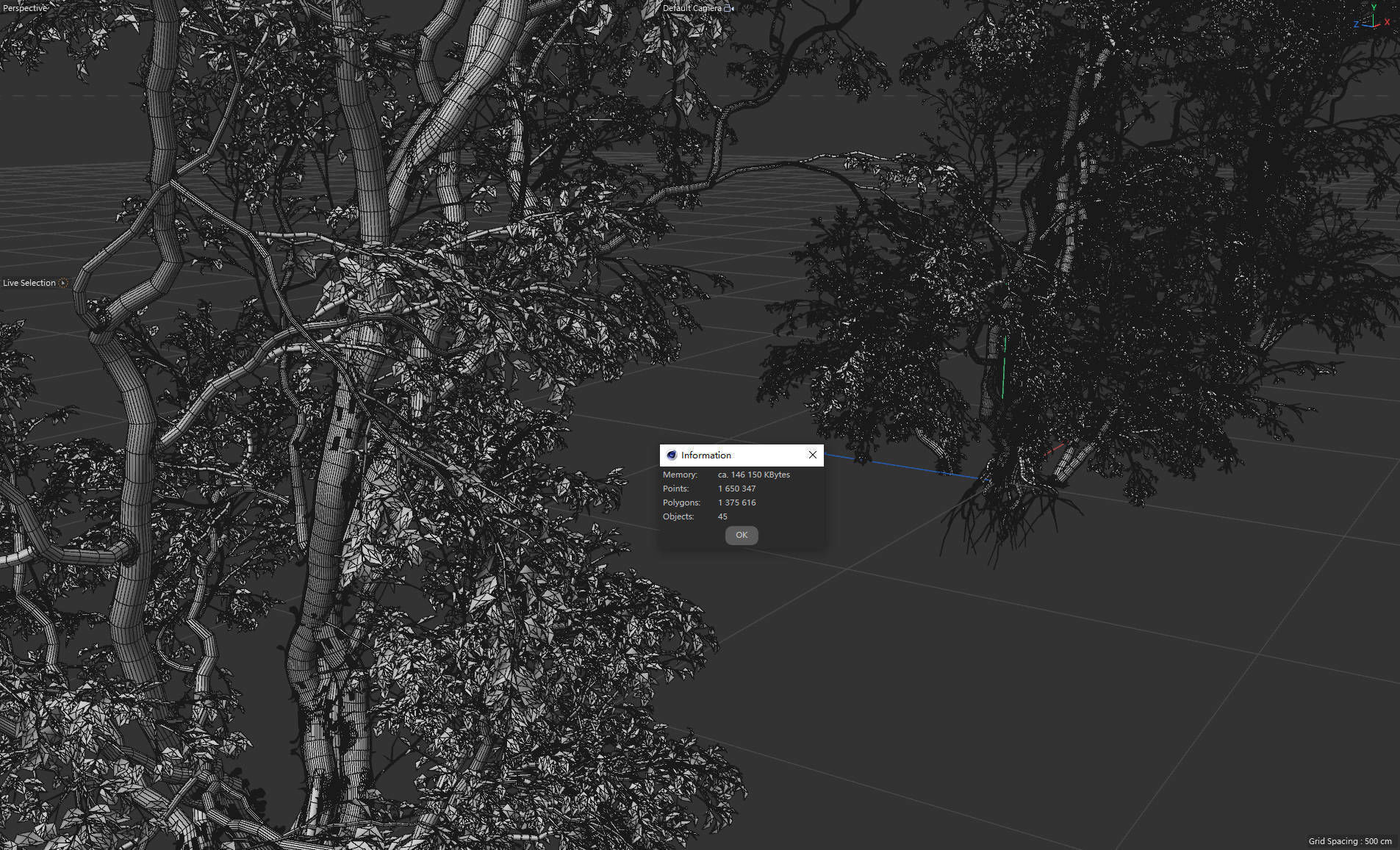 9 High Quality Forest Elm Tree Collection _19