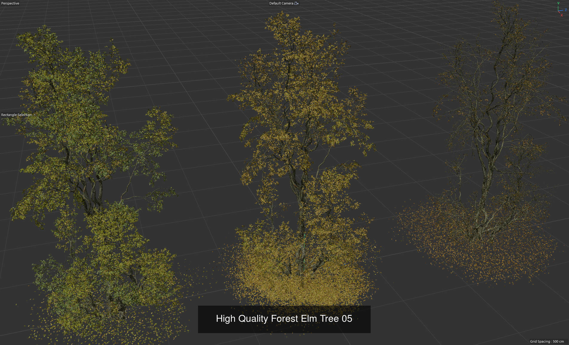 9 High Quality Forest Elm Tree Collection _10