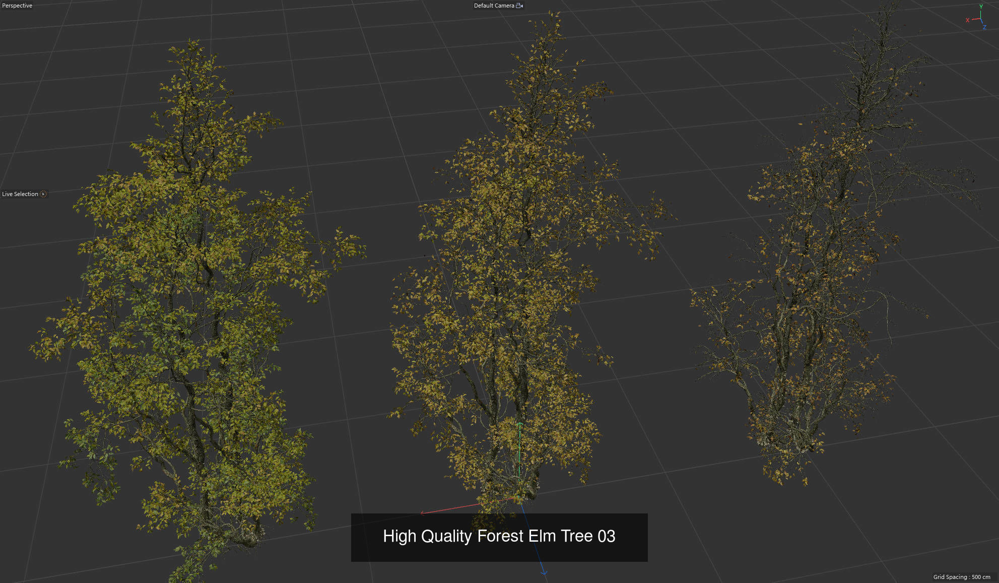 9 High Quality Forest Elm Tree Collection _7