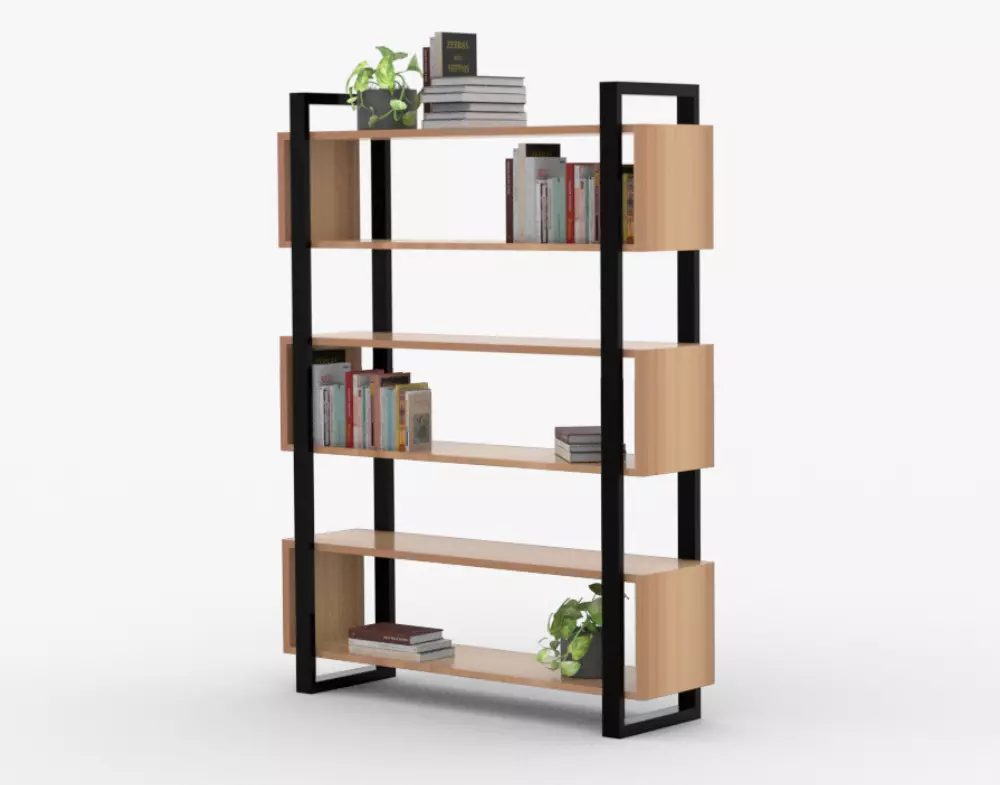 Book shelf Free 3D model