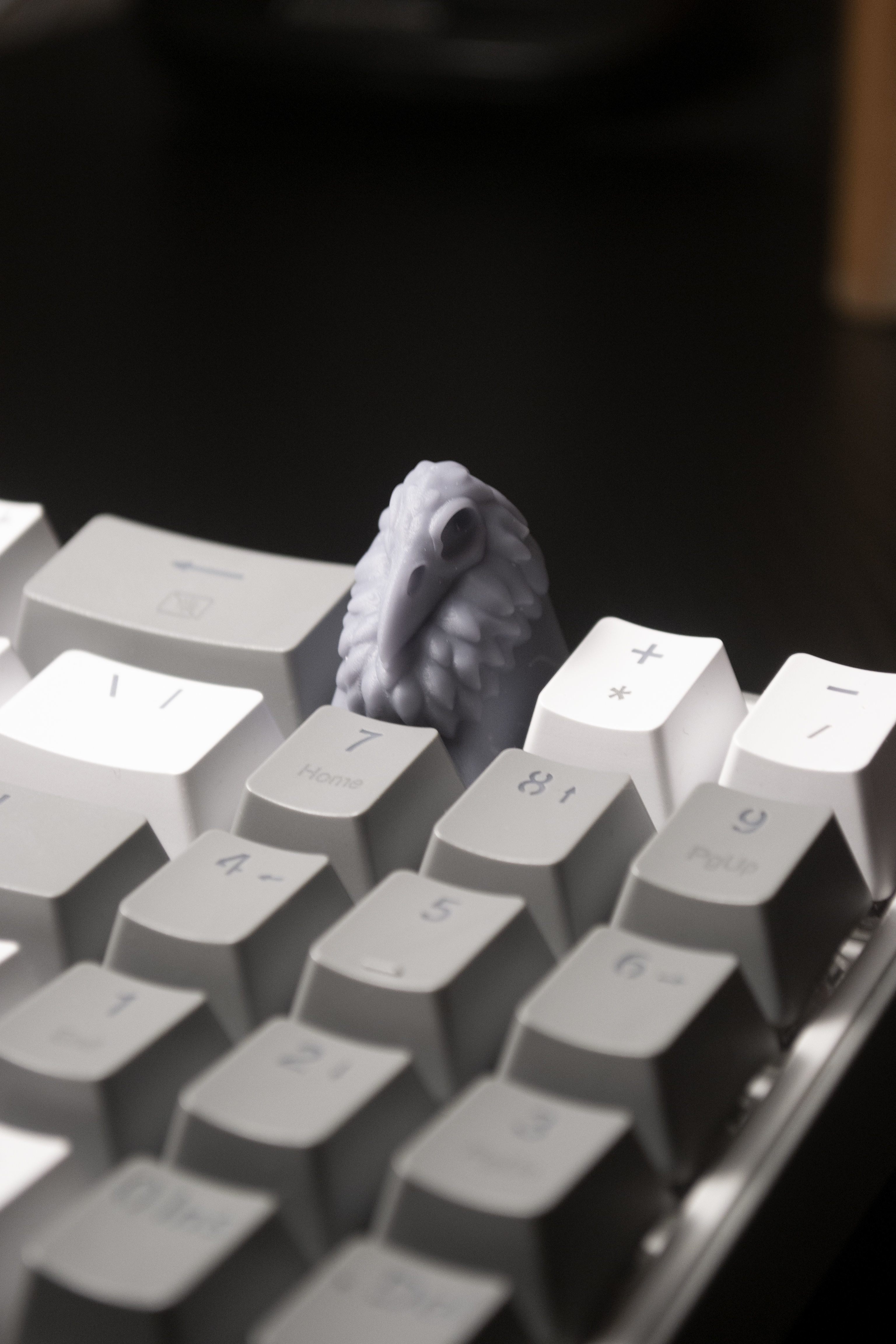 Skull collection 3D print model_3