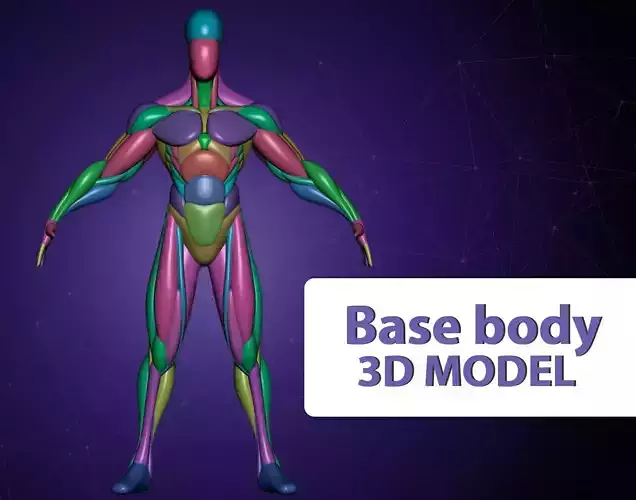 stylized male body blocking model