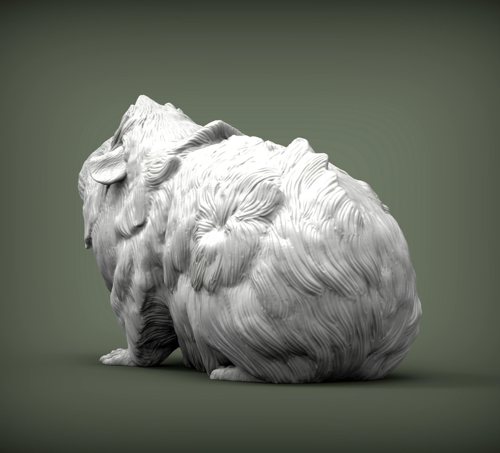 Abyssinian guinea pig 3D print model_3