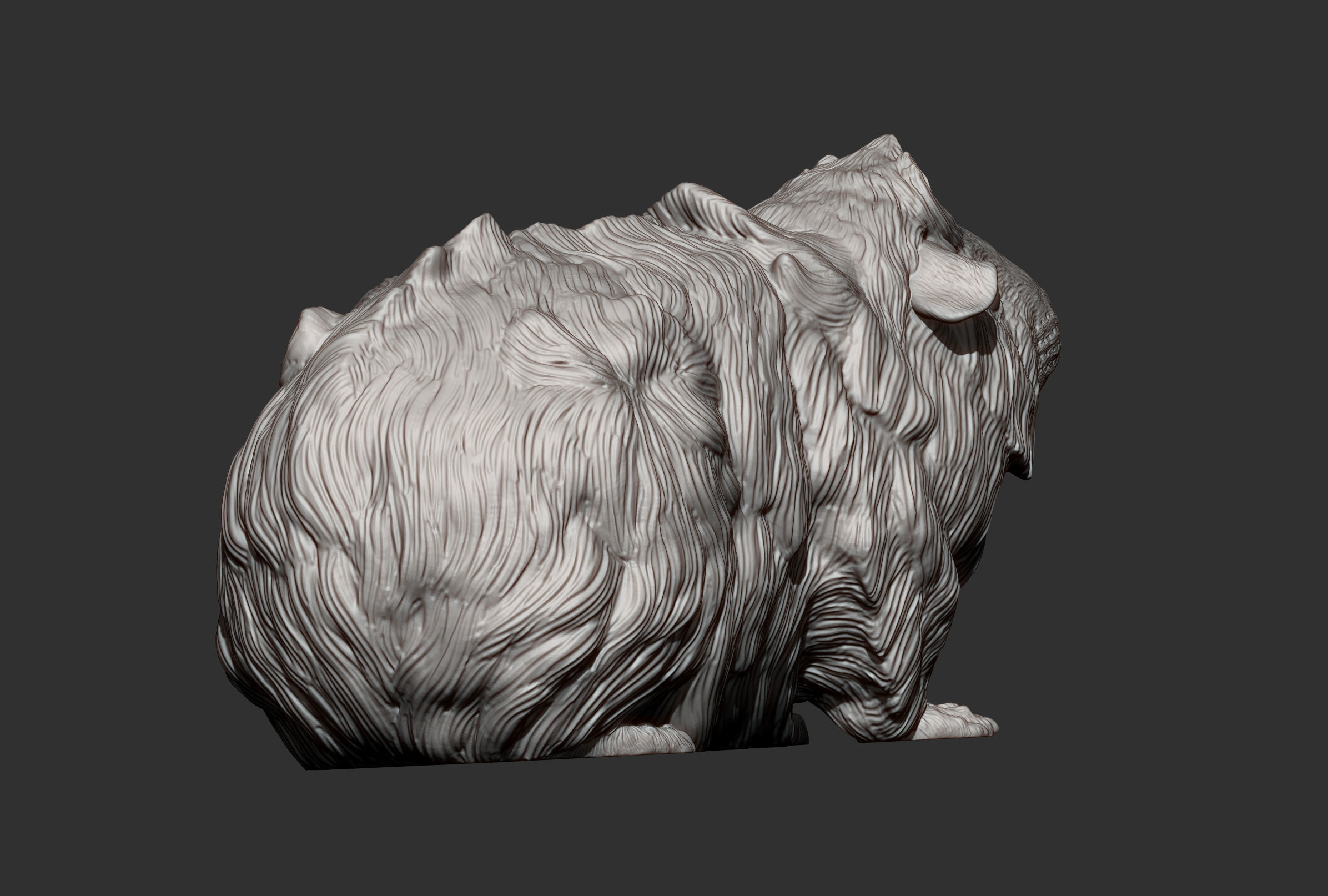 Abyssinian guinea pig 3D print model_7