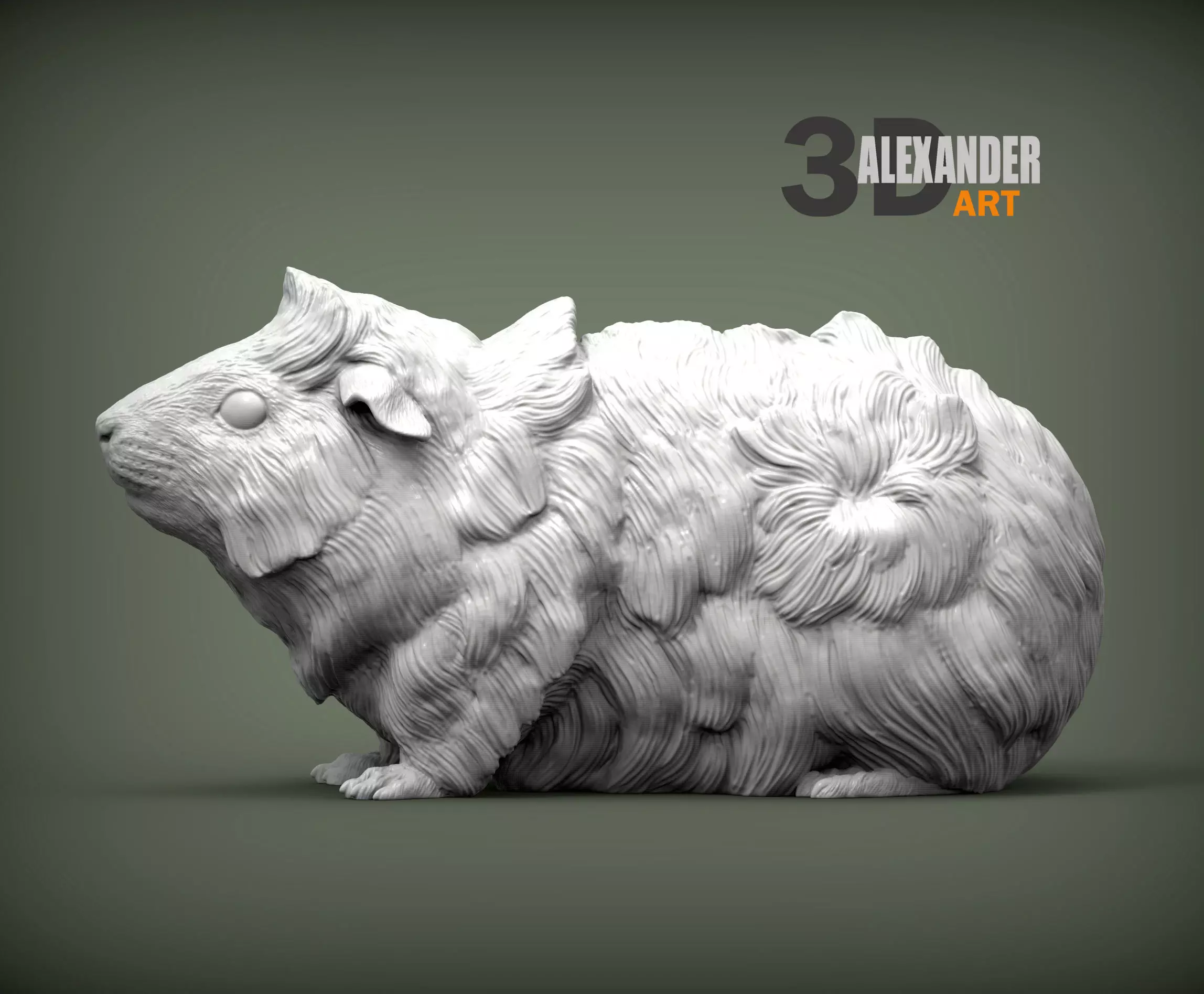Abyssinian guinea pig 3D print model_0