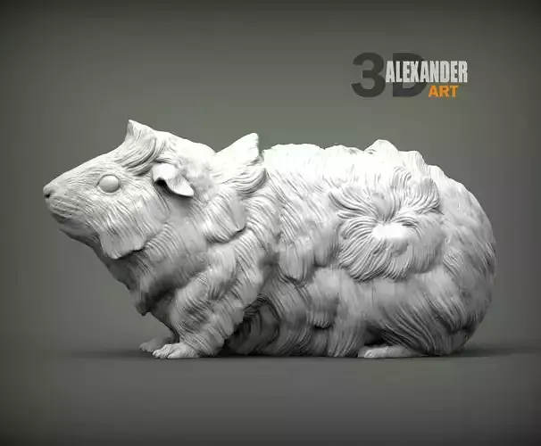Abyssinian guinea pig 3D print model