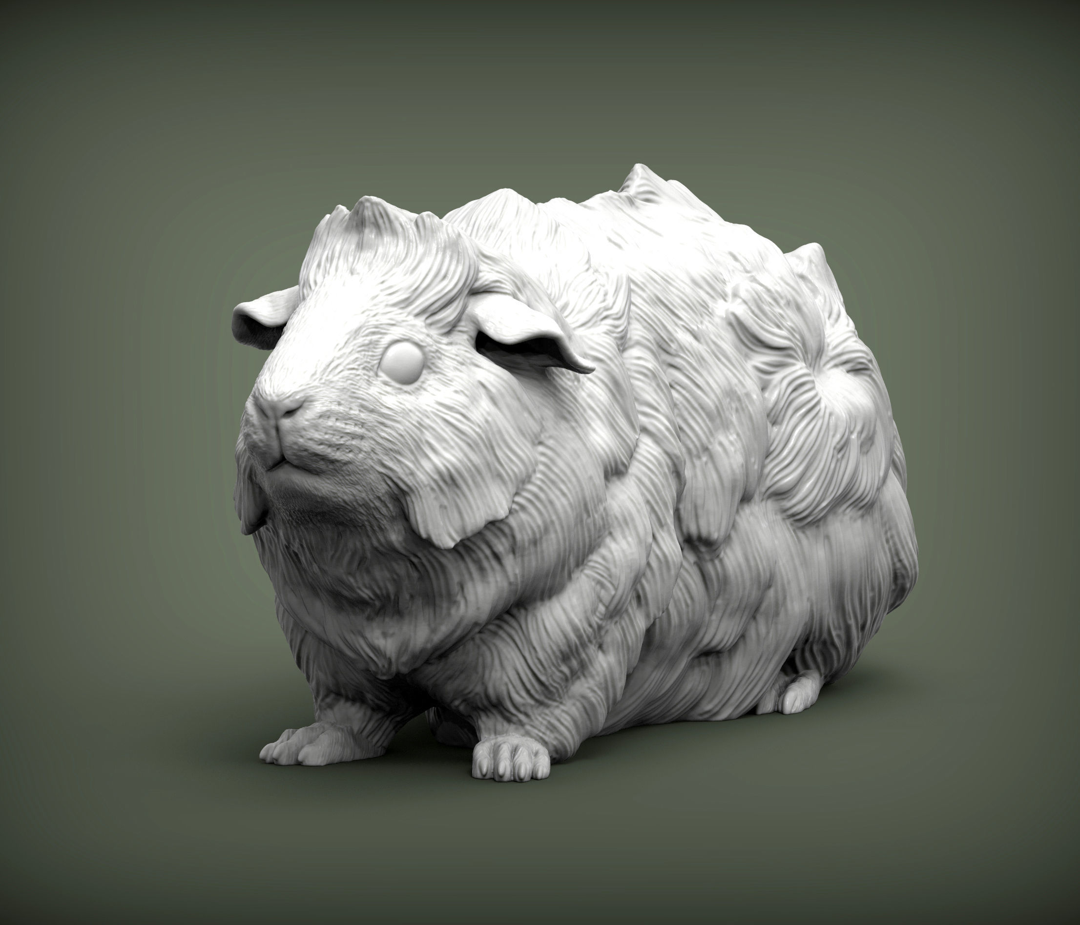 Abyssinian guinea pig 3D print model_2