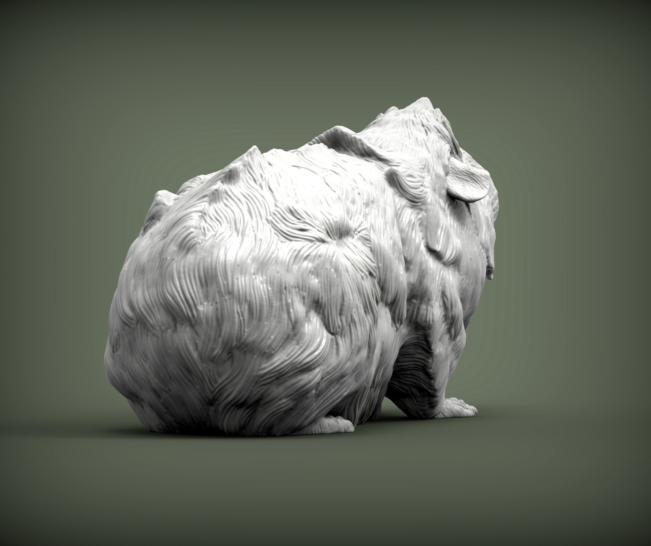Abyssinian guinea pig 3D print model_6