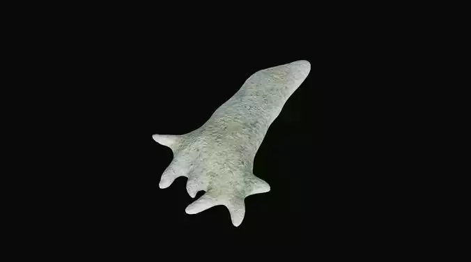 Eukaryotic Microbe Amoeba proteus