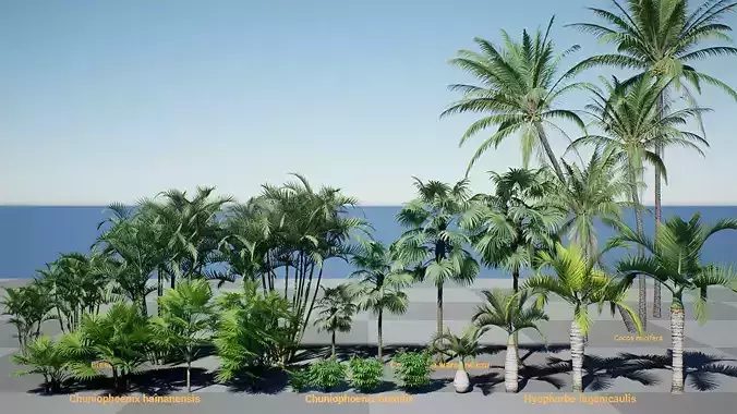 HQ Plants Volume 2 Palms for unreal engine 3D model set of 24 3D model