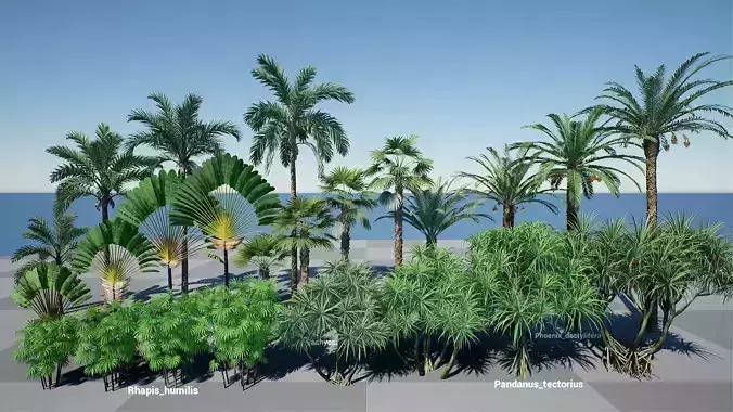 HQ Plants Volume 3 Palms for unreal engine 3D model set of 24