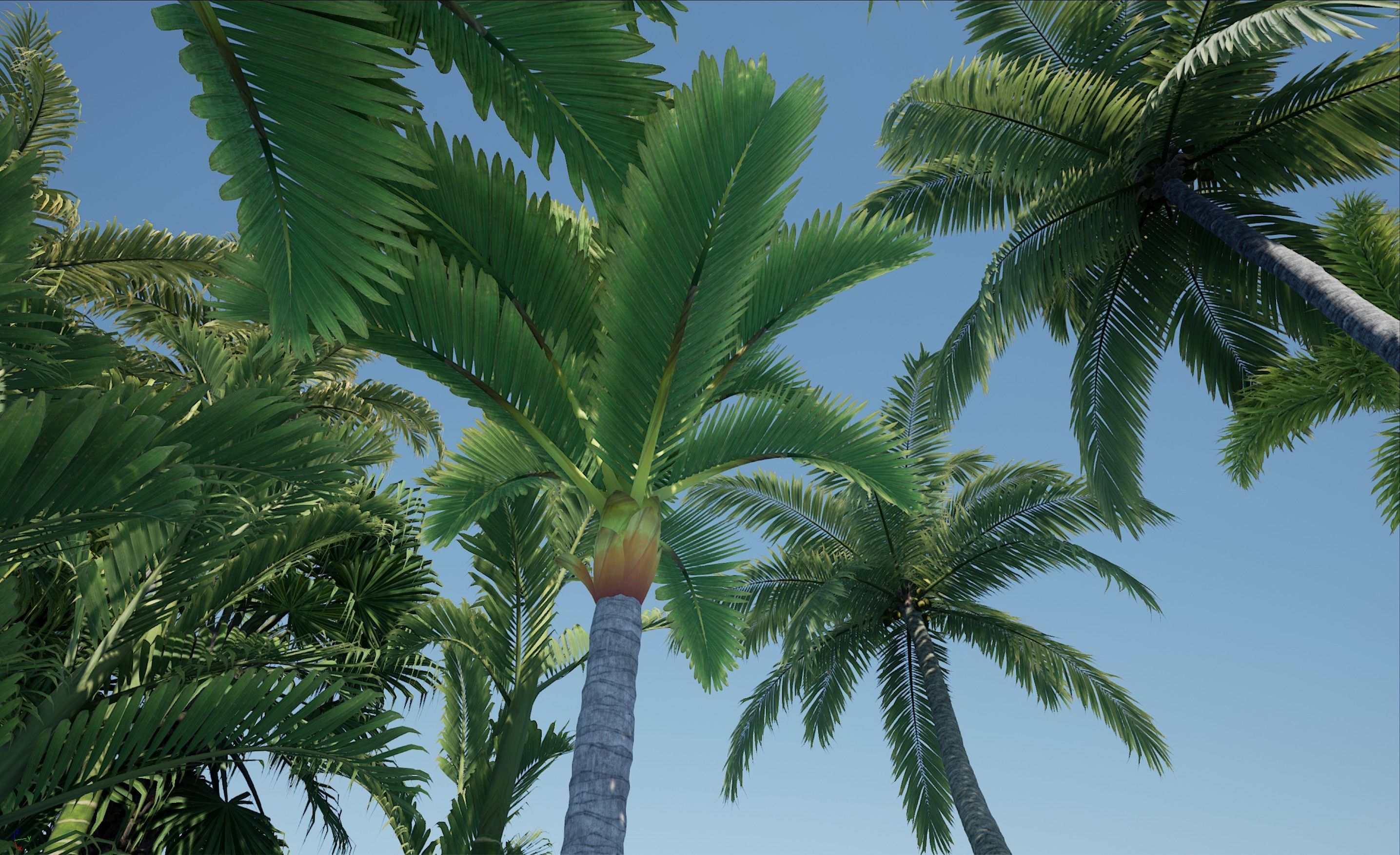 HQ Plants Volume 4 Palms for unreal engine 3D model set of 40 3D model_17