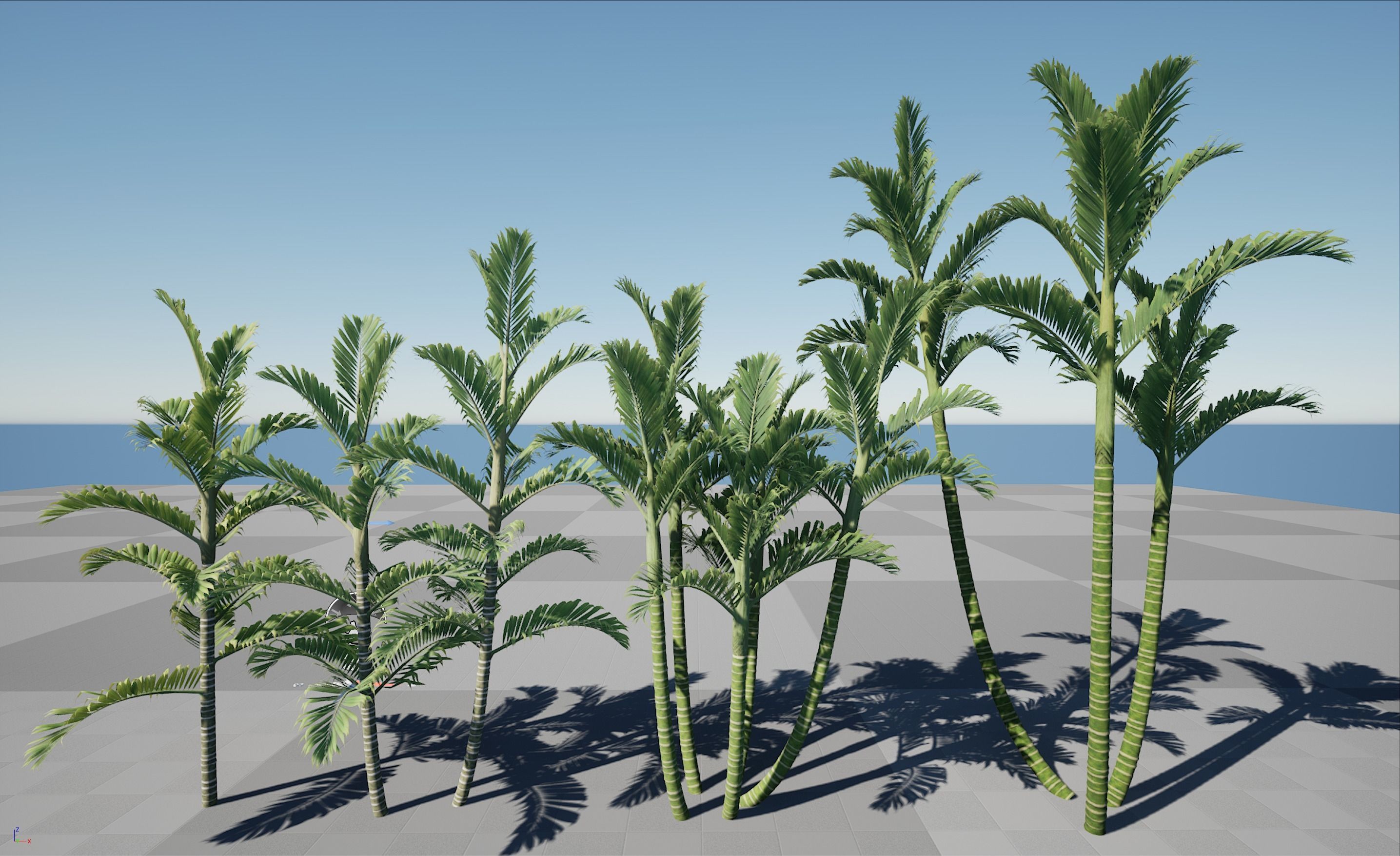 HQ Plants Volume 4 Palms for unreal engine 3D model set of 40 3D model_7
