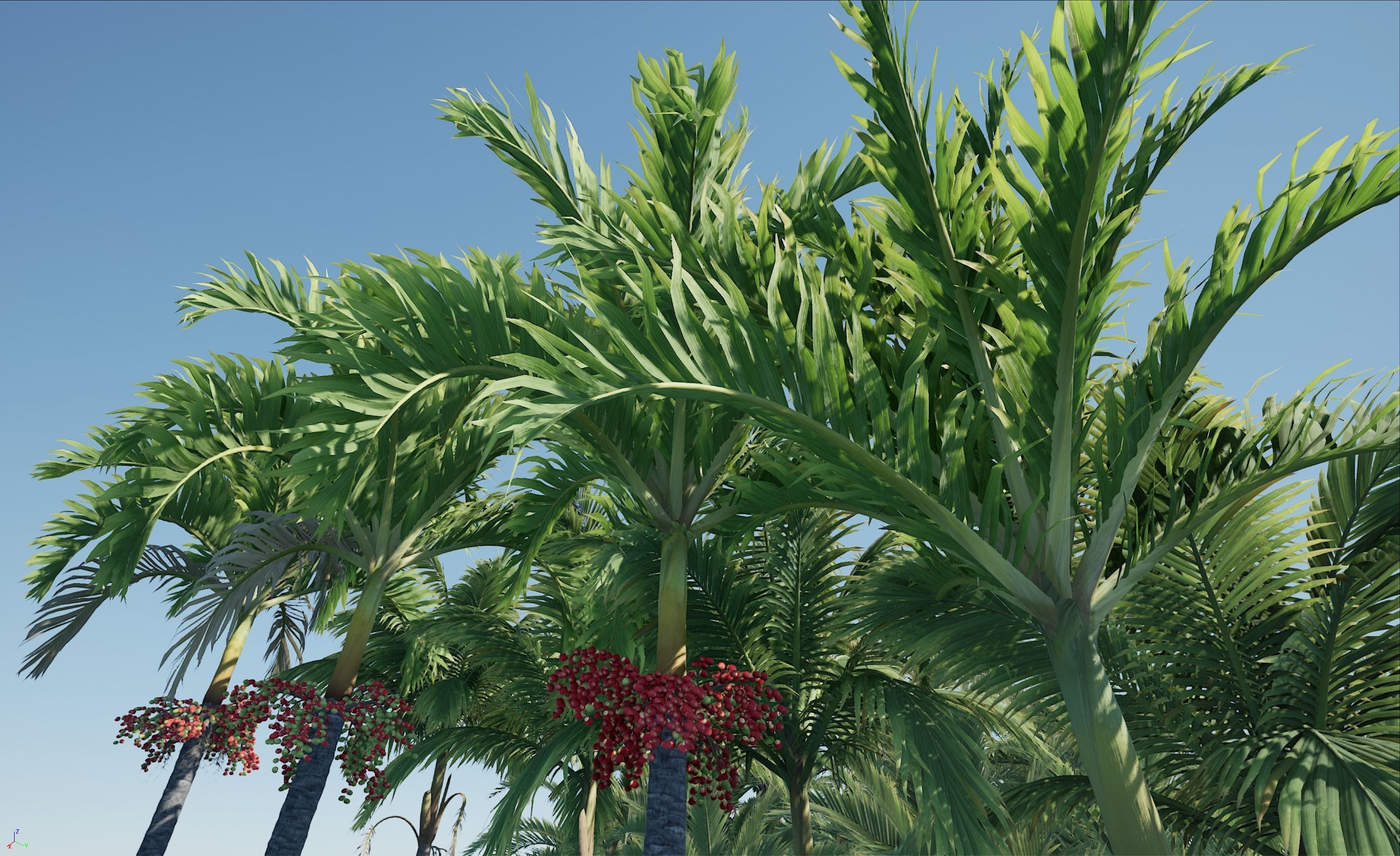 HQ Plants Volume 4 Palms for unreal engine 3D model set of 40 3D model_11