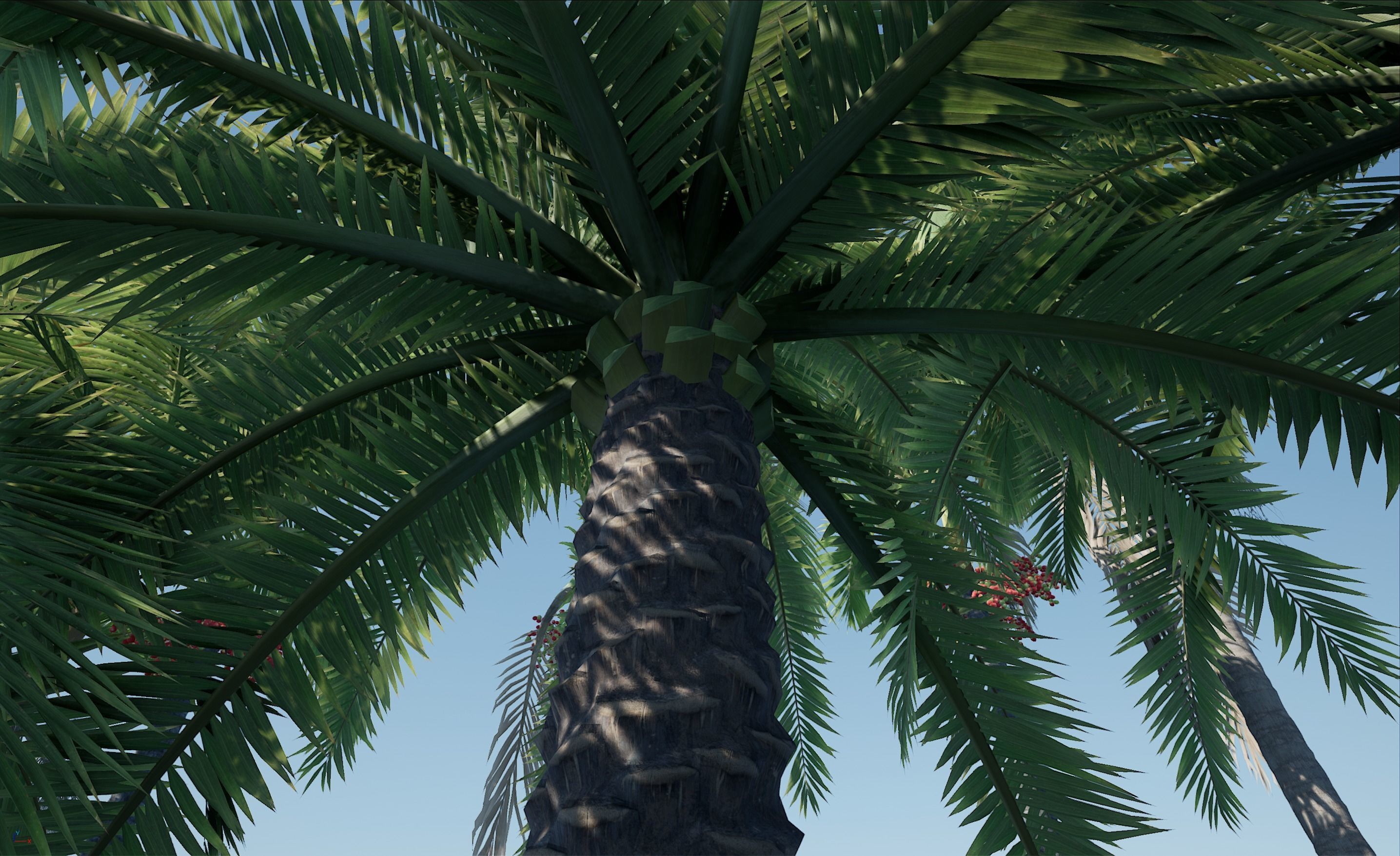 HQ Plants Volume 4 Palms for unreal engine 3D model set of 40 3D model_13