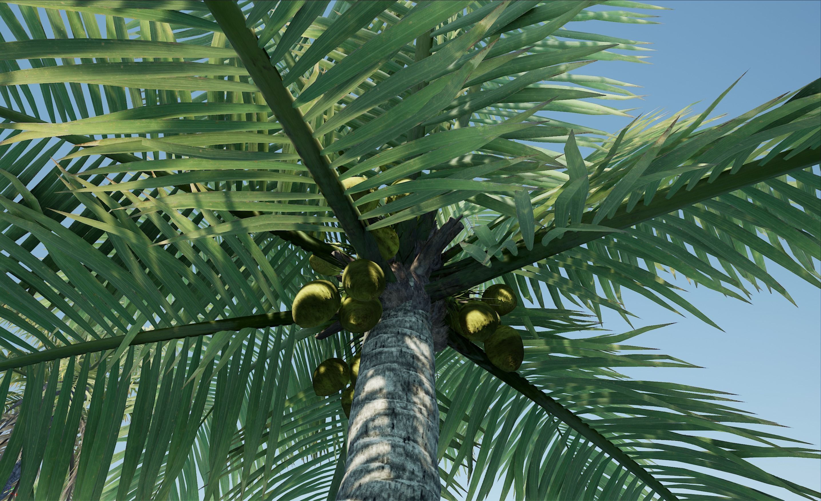 HQ Plants Volume 4 Palms for unreal engine 3D model set of 40 3D model_16