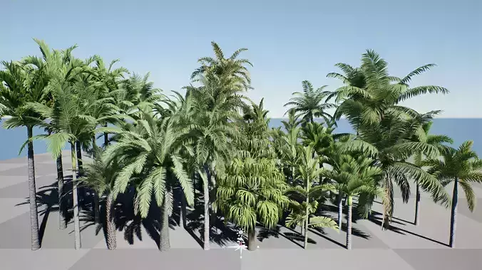 HQ Plants Volume 4 Palms for unreal engine 3D model set of 40