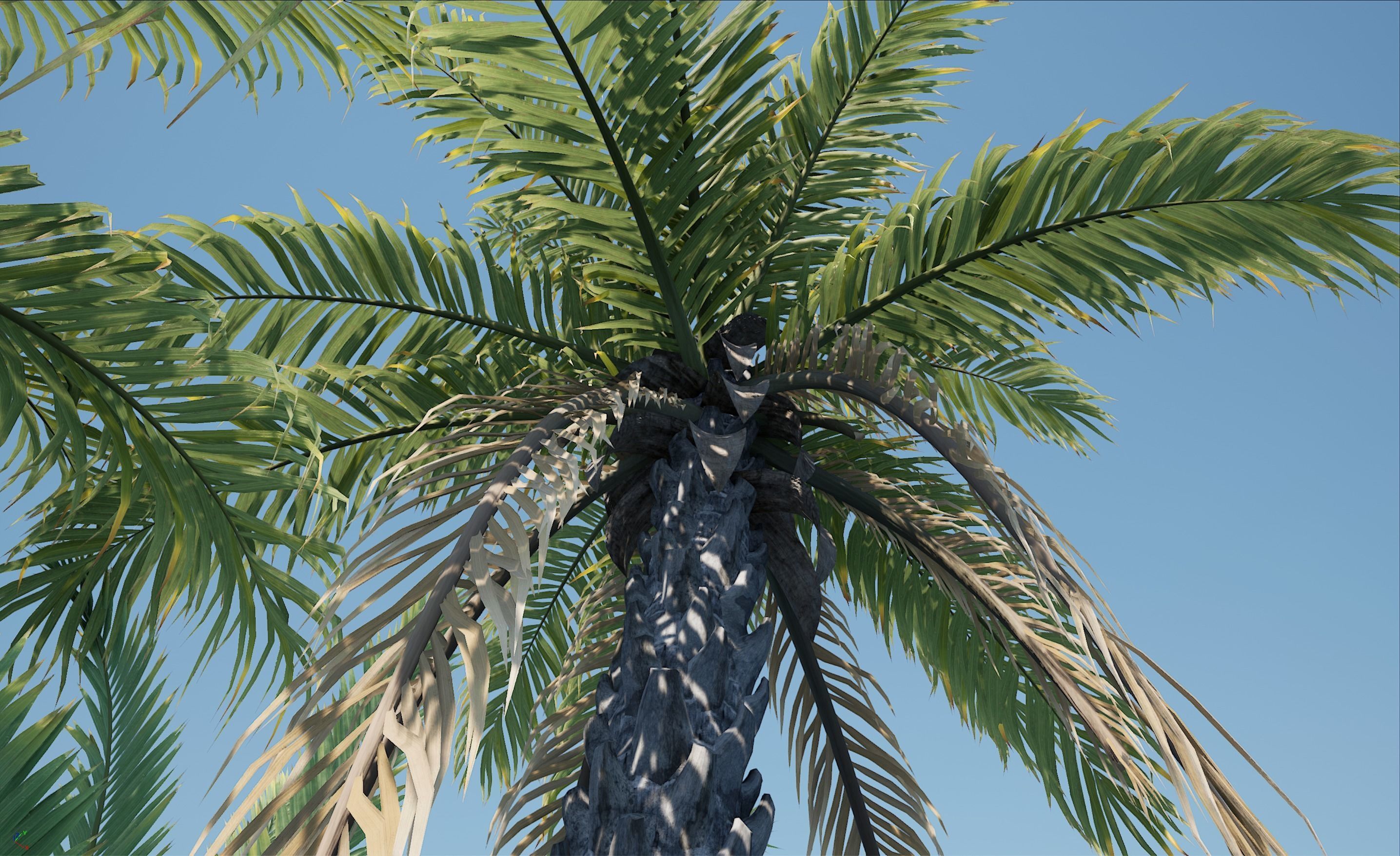 HQ Plants Volume 4 Palms for unreal engine 3D model set of 40 3D model_15
