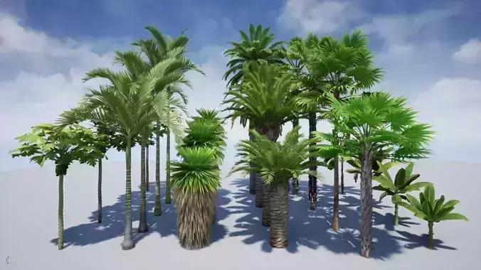 HQ Plants Volume 5 Palms for unreal engine 3D model set of 24