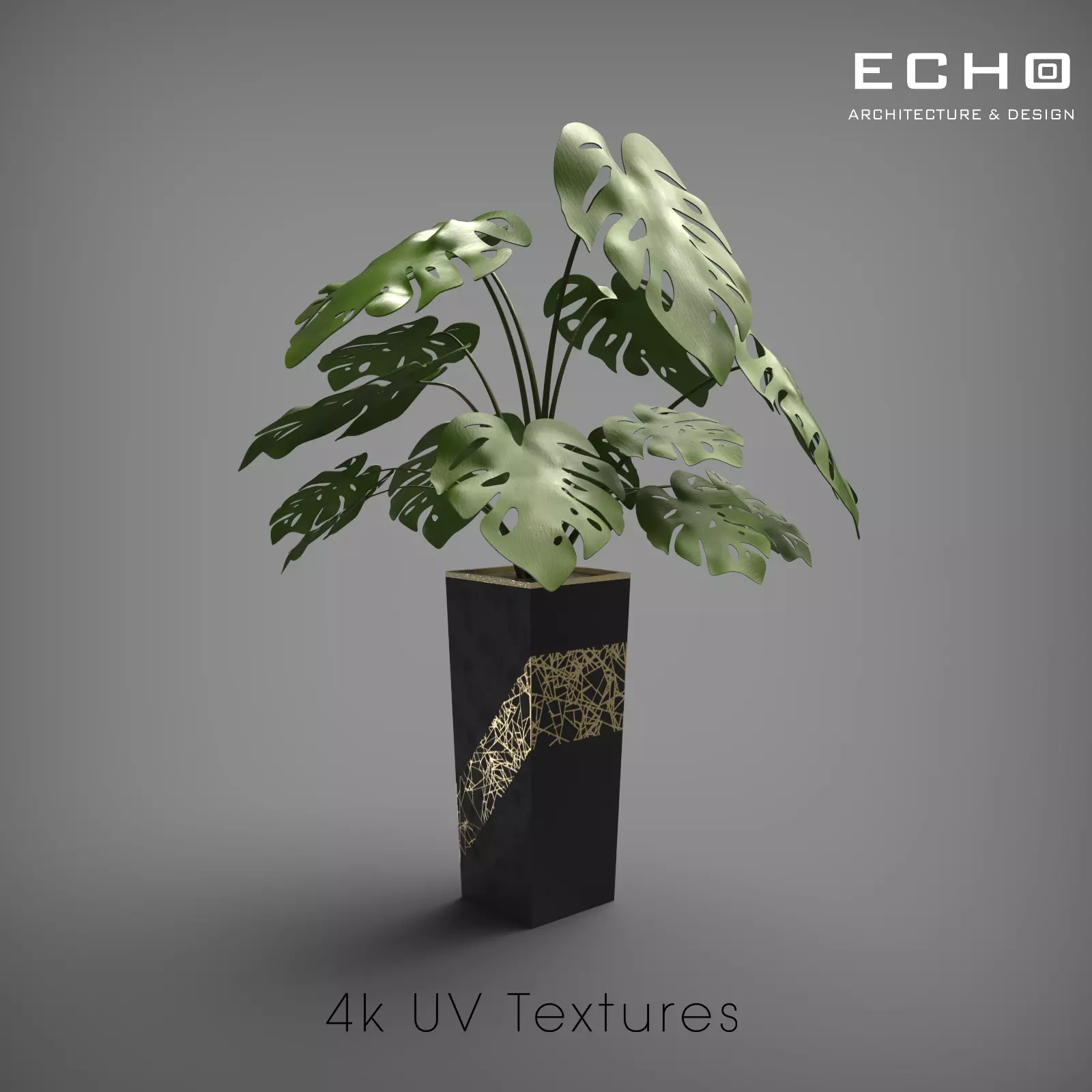 Monstera Deliciosa 2 Black Vase 3D model