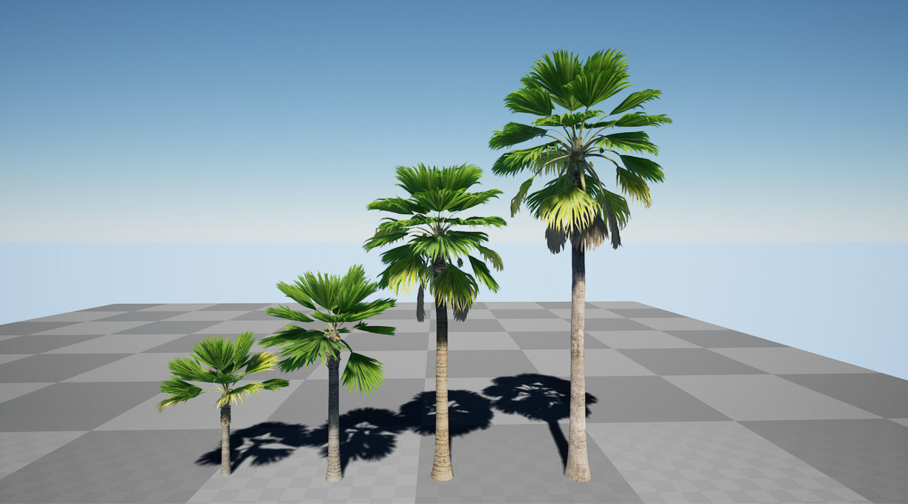 HQ Plants Volume 7 Palms for unreal engine 3D model set of 24 3D model_6