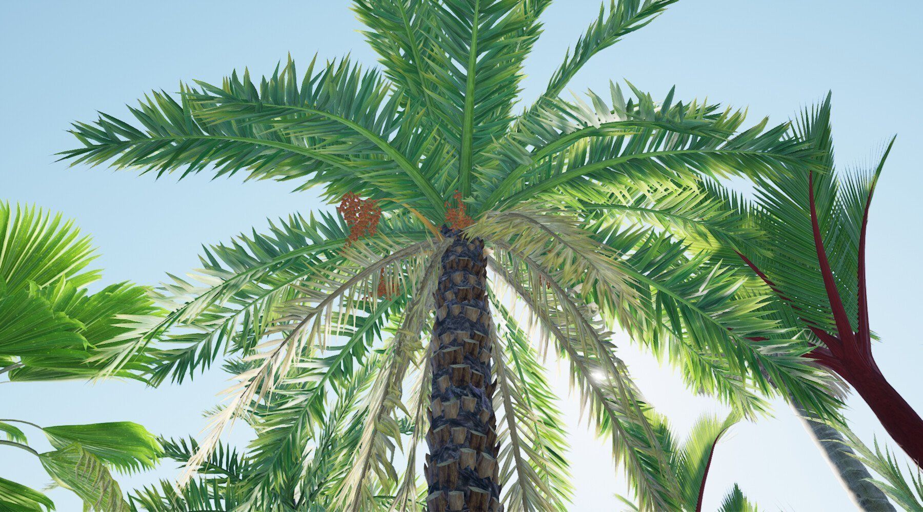 HQ Plants Volume 7 Palms for unreal engine 3D model set of 24 3D model_11