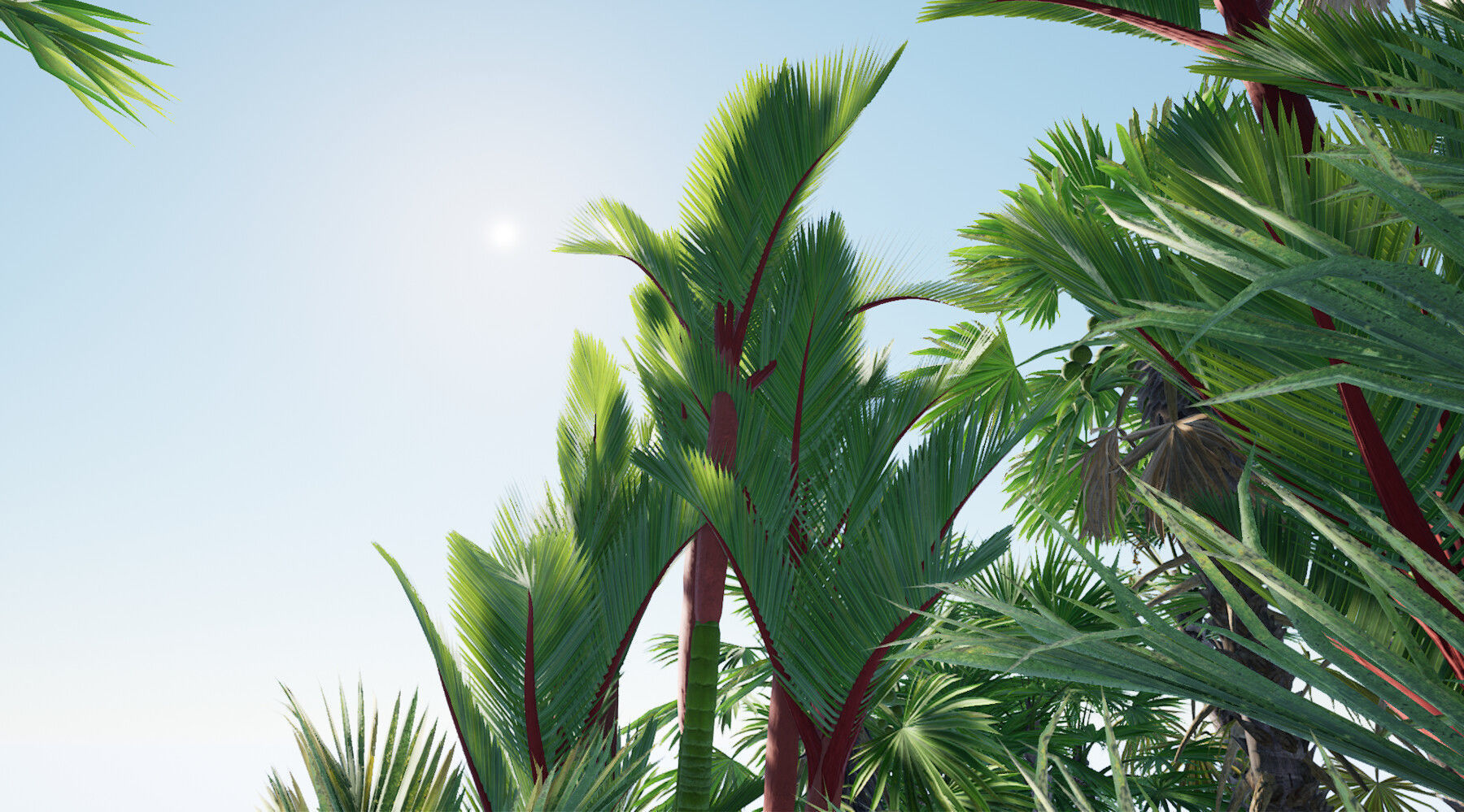 HQ Plants Volume 7 Palms for unreal engine 3D model set of 24 3D model_9