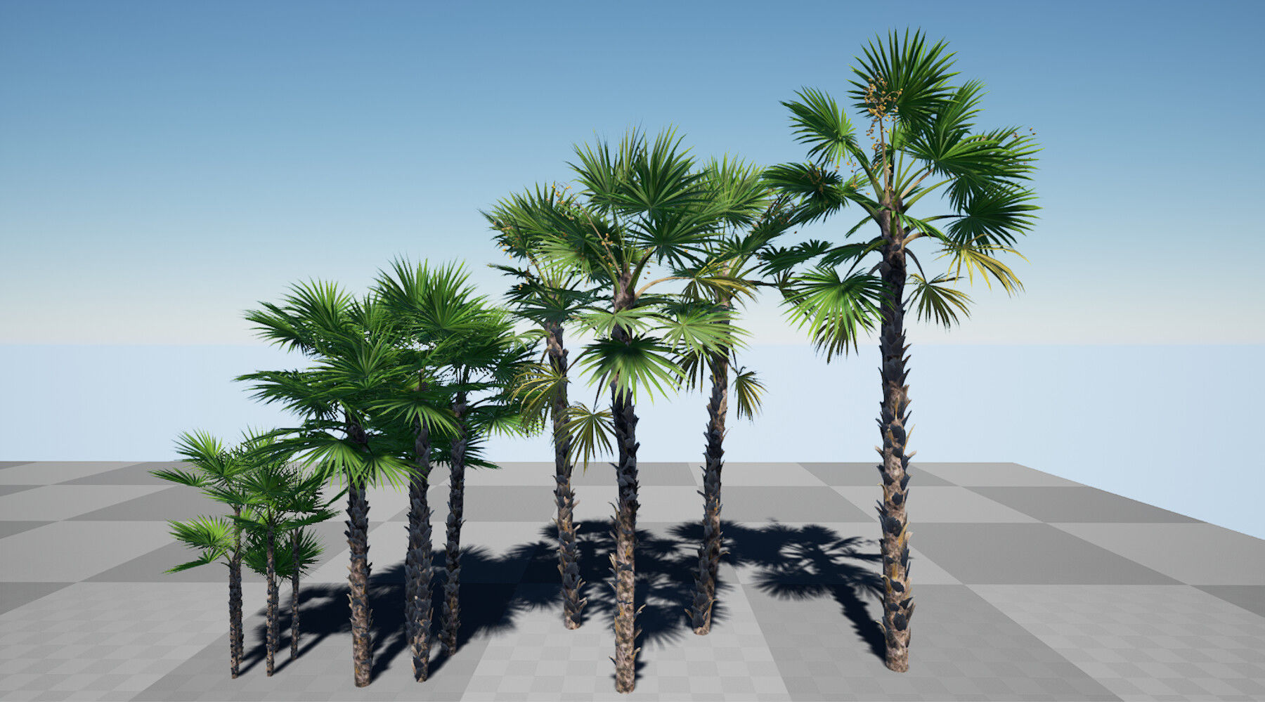 HQ Plants Volume 7 Palms for unreal engine 3D model set of 24 3D model_1