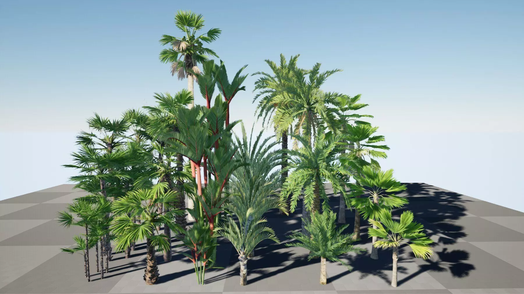 HQ Plants Volume 7 Palms for unreal engine 3D model set of 24 3D model_0
