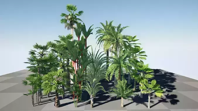 HQ Plants Volume 7 Palms for unreal engine 3D model set of 24
