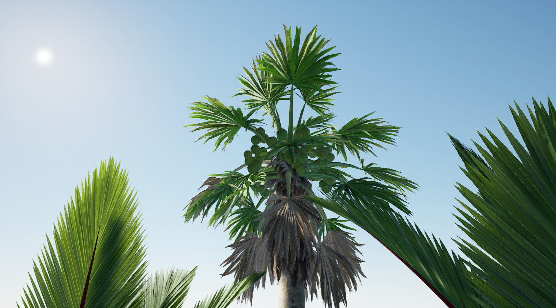 HQ Plants Volume 7 Palms for unreal engine 3D model set of 24 3D model_8