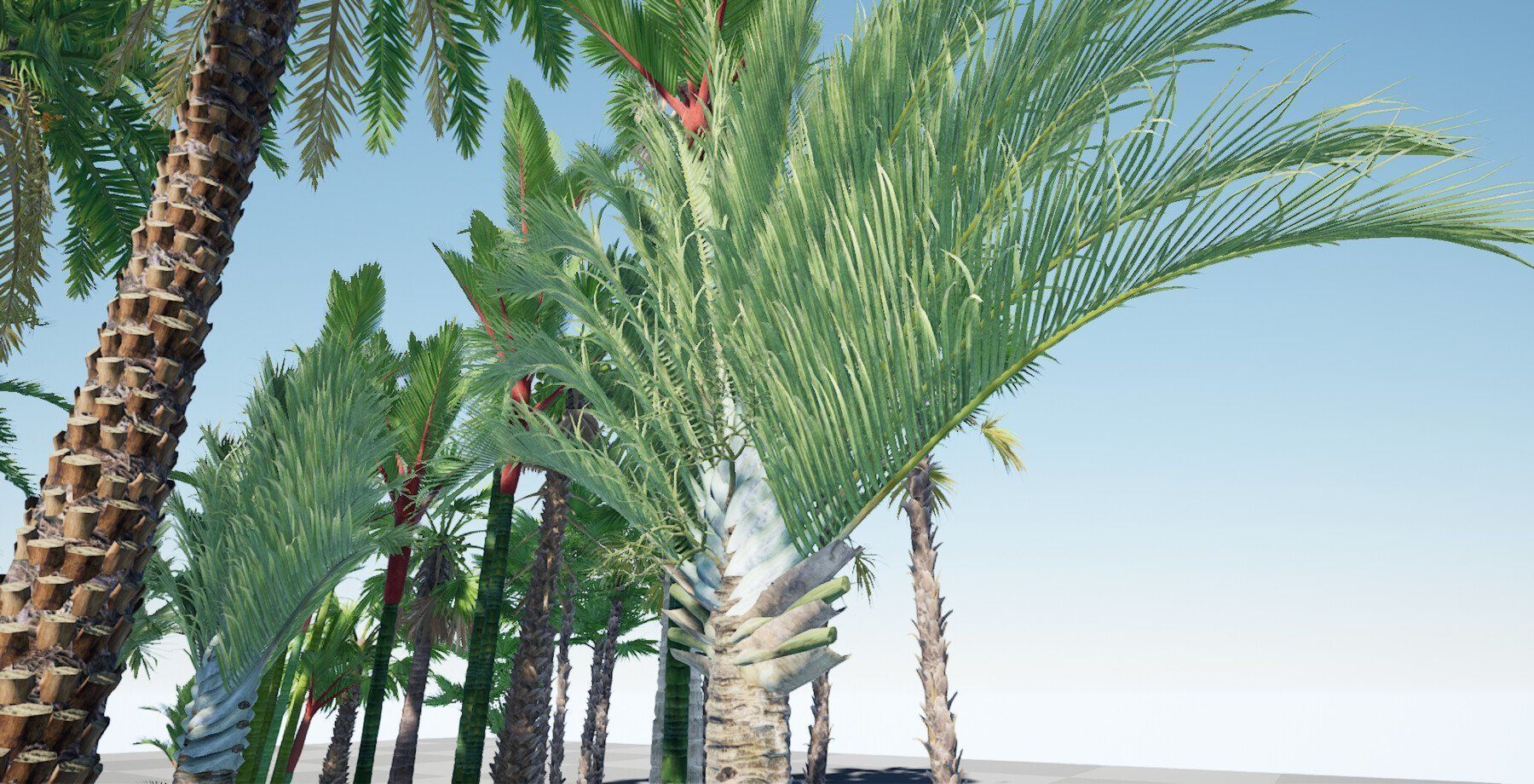 HQ Plants Volume 7 Palms for unreal engine 3D model set of 24 3D model_10