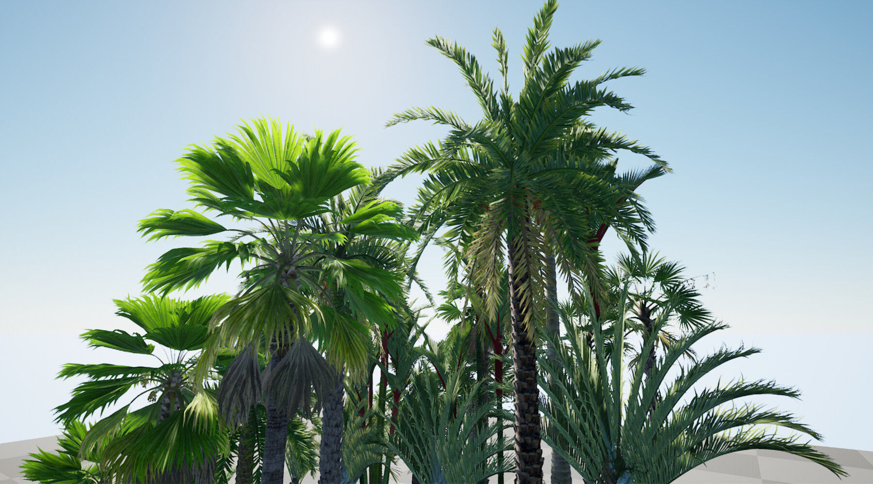 HQ Plants Volume 7 Palms for unreal engine 3D model set of 24 3D model_12