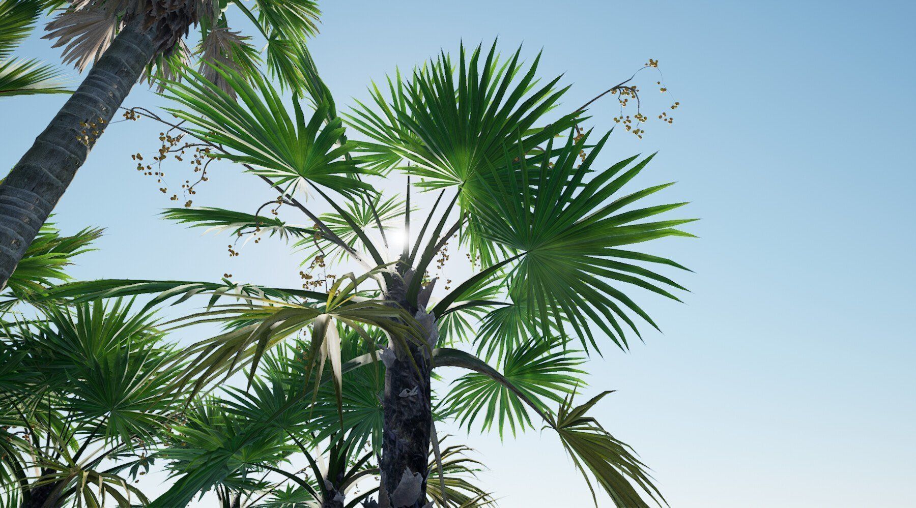 HQ Plants Volume 7 Palms for unreal engine 3D model set of 24 3D model_7