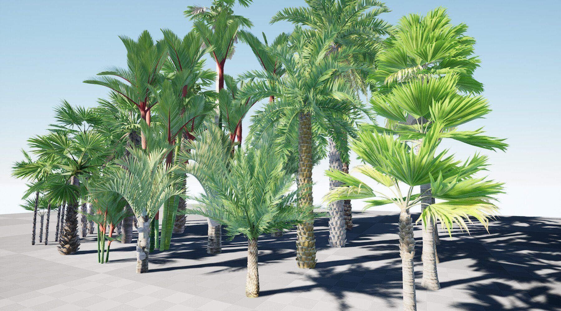 HQ Plants Volume 7 Palms for unreal engine 3D model set of 24 3D model_14