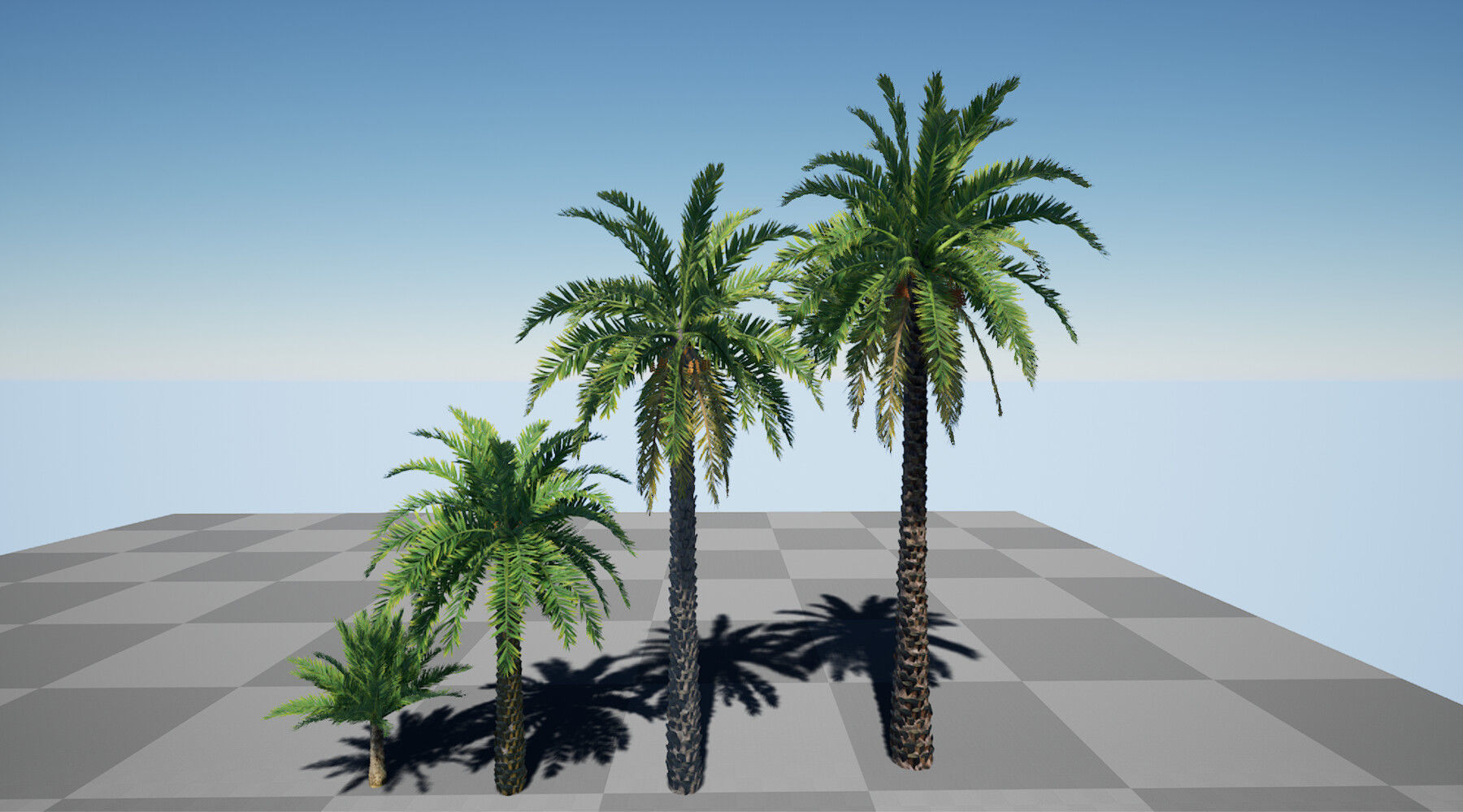 HQ Plants Volume 7 Palms for unreal engine 3D model set of 24 3D model_5