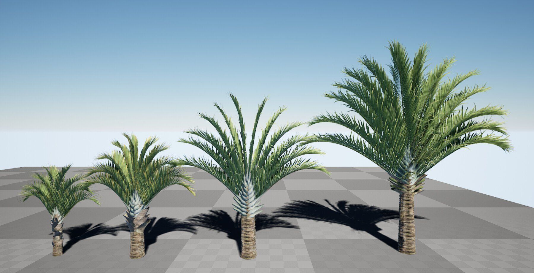 HQ Plants Volume 7 Palms for unreal engine 3D model set of 24 3D model_4