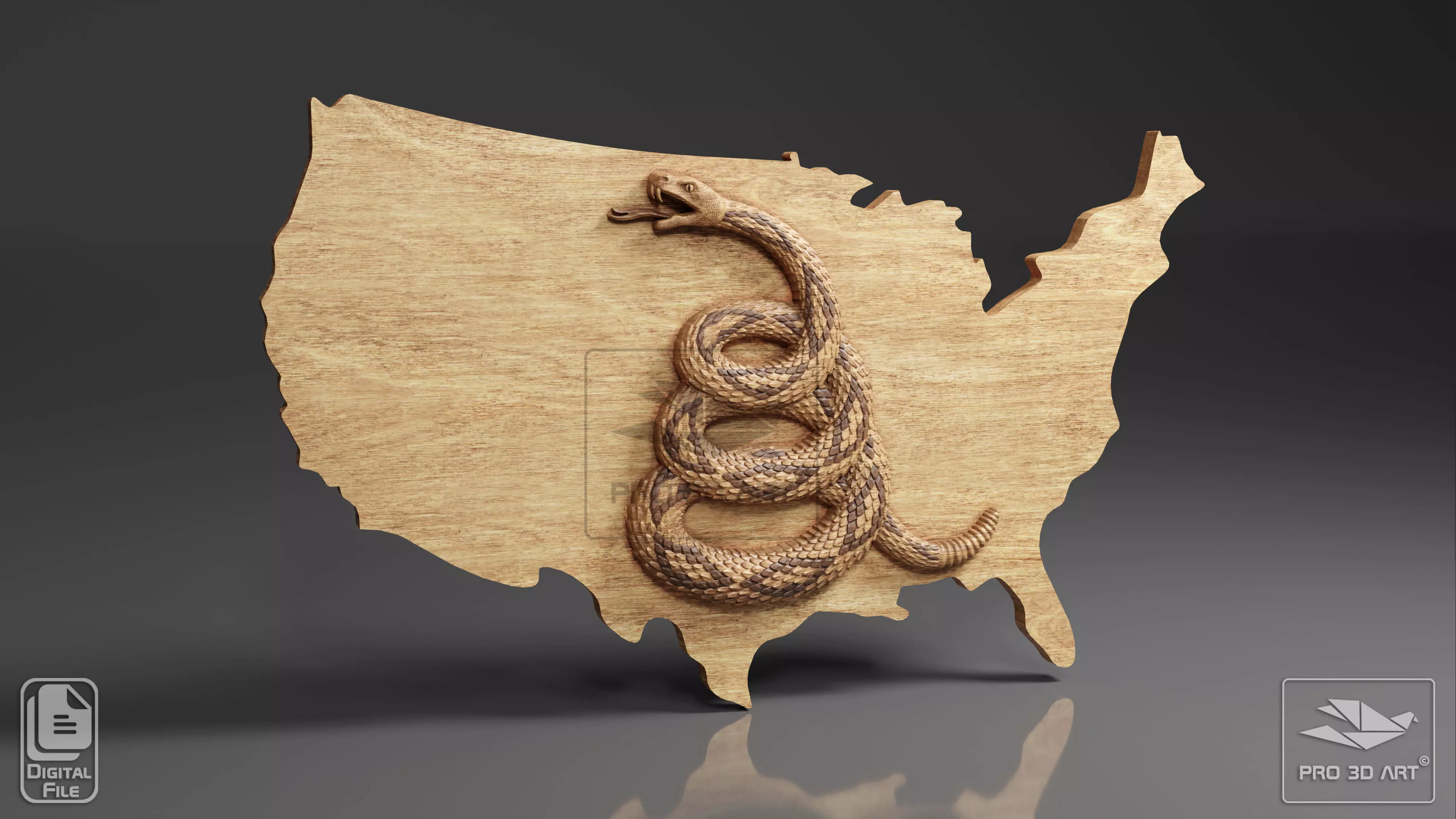 Dont Tread On Me Flag - US Map - CNC Files For Wood 3D model_0