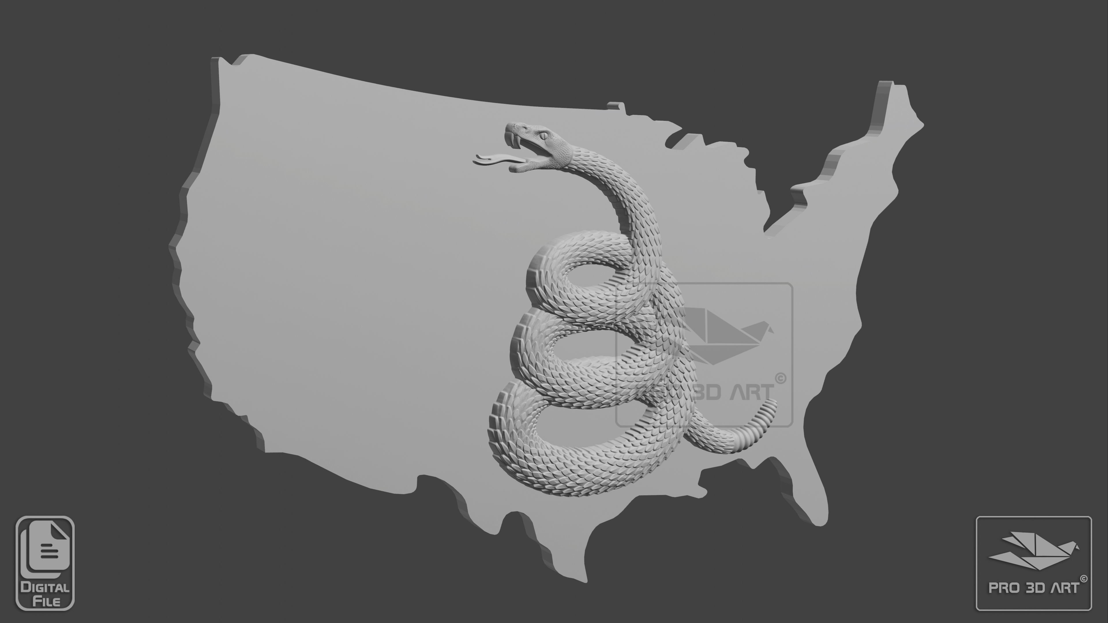 Dont Tread On Me Flag - US Map - CNC Files For Wood 3D model_1