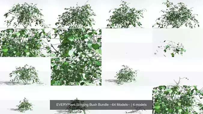 EVERYPlant Stinging Bush Bundle --64 Models-- 3D Model Collection