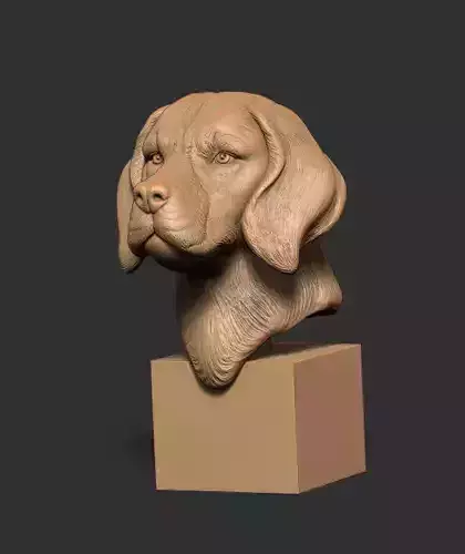 Dog Head 1 Statue for 3d Printing 