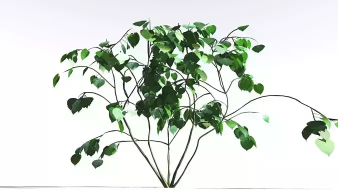 EVERYPlant Stinging Bush LowPoly 1 --16 Models-- Low-poly 3D model