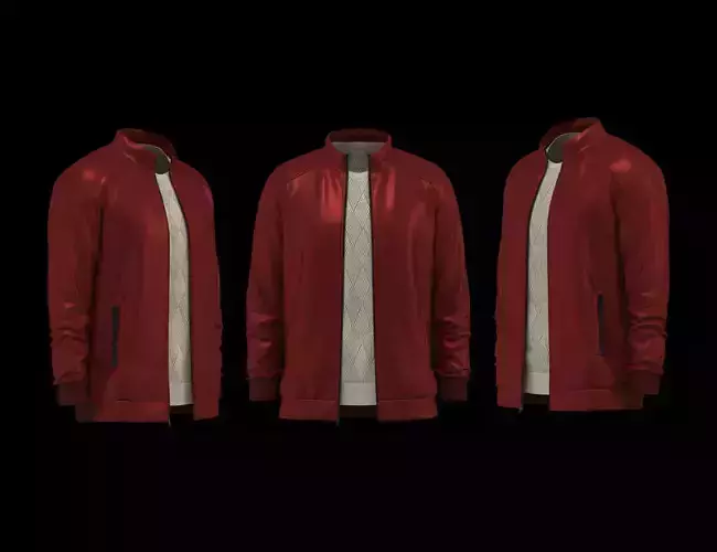 Winter Jacket 3d Model