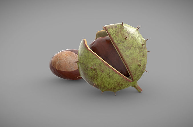 My 3dsmax Chestnut 3d model Low-poly 3D model
