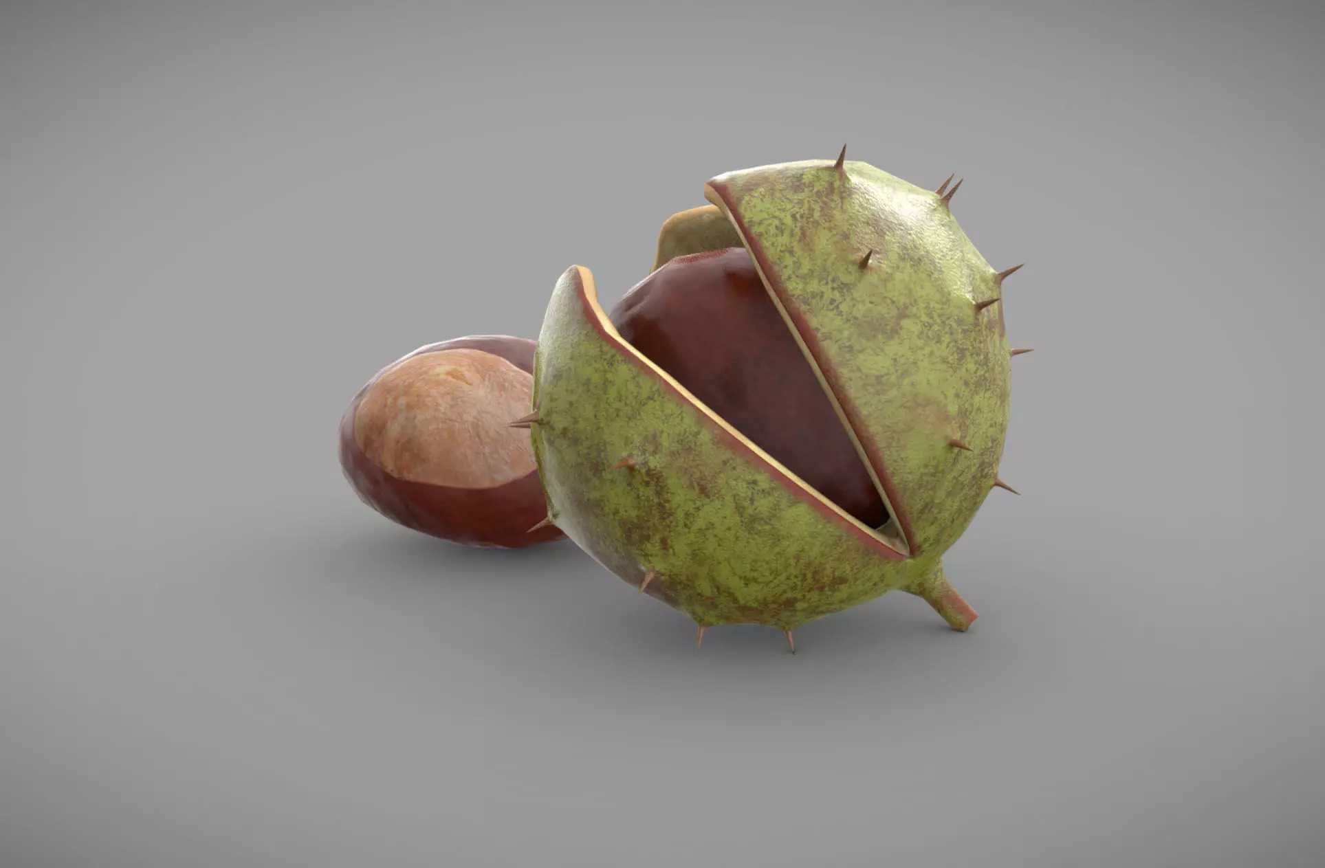My 3dsmax Chestnut 3d model Low-poly 3D model