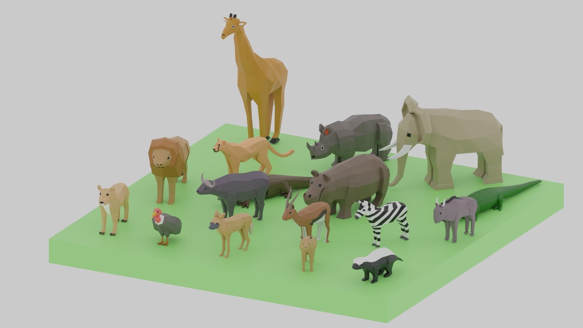 Cartoon LowPoly African Animals Collection Low-poly 3D model_2