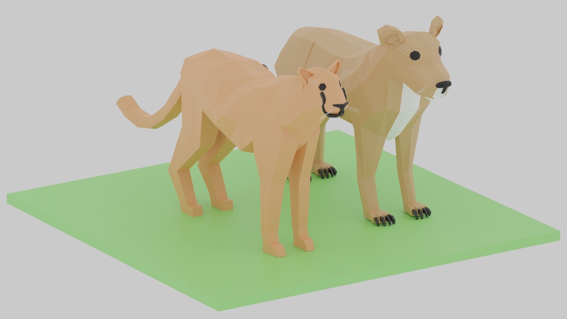 Cartoon LowPoly African Animals Collection Low-poly 3D model_14