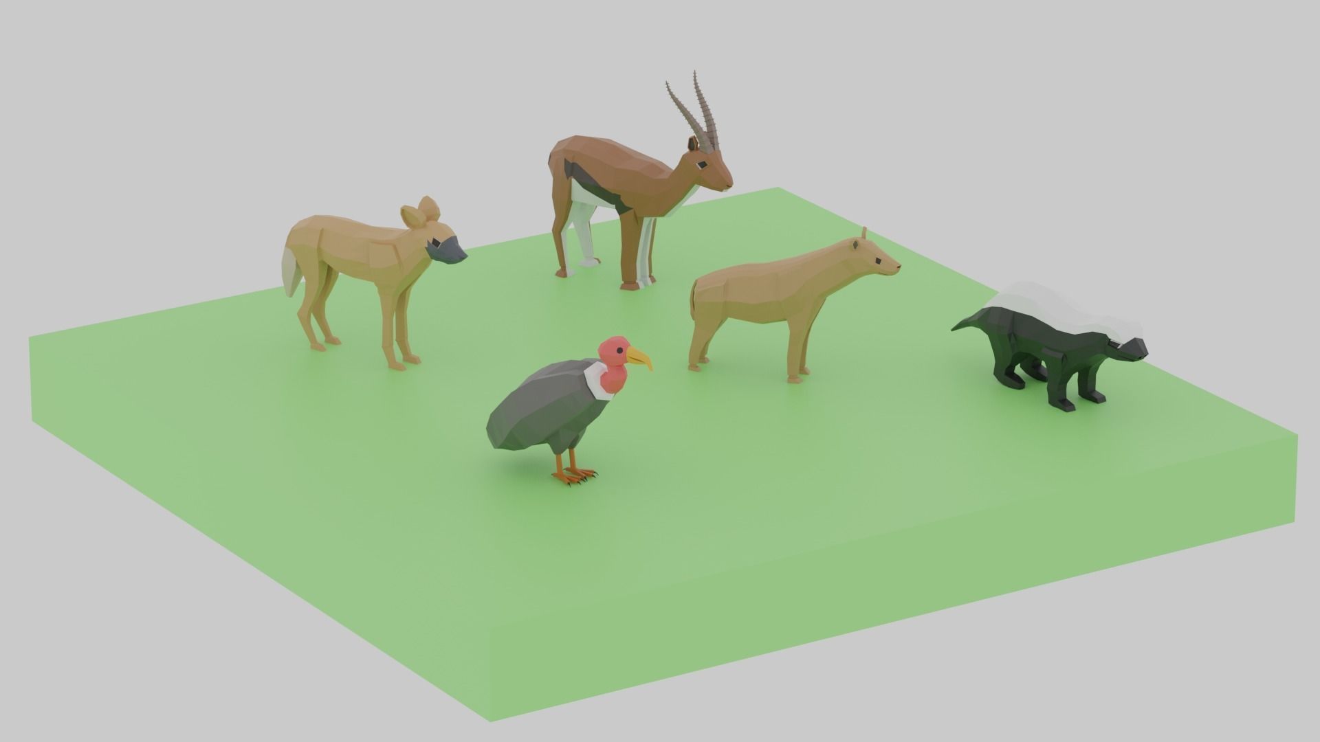 Cartoon LowPoly African Animals Collection Low-poly 3D model_5